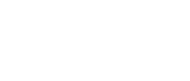 Project Report Online Logo