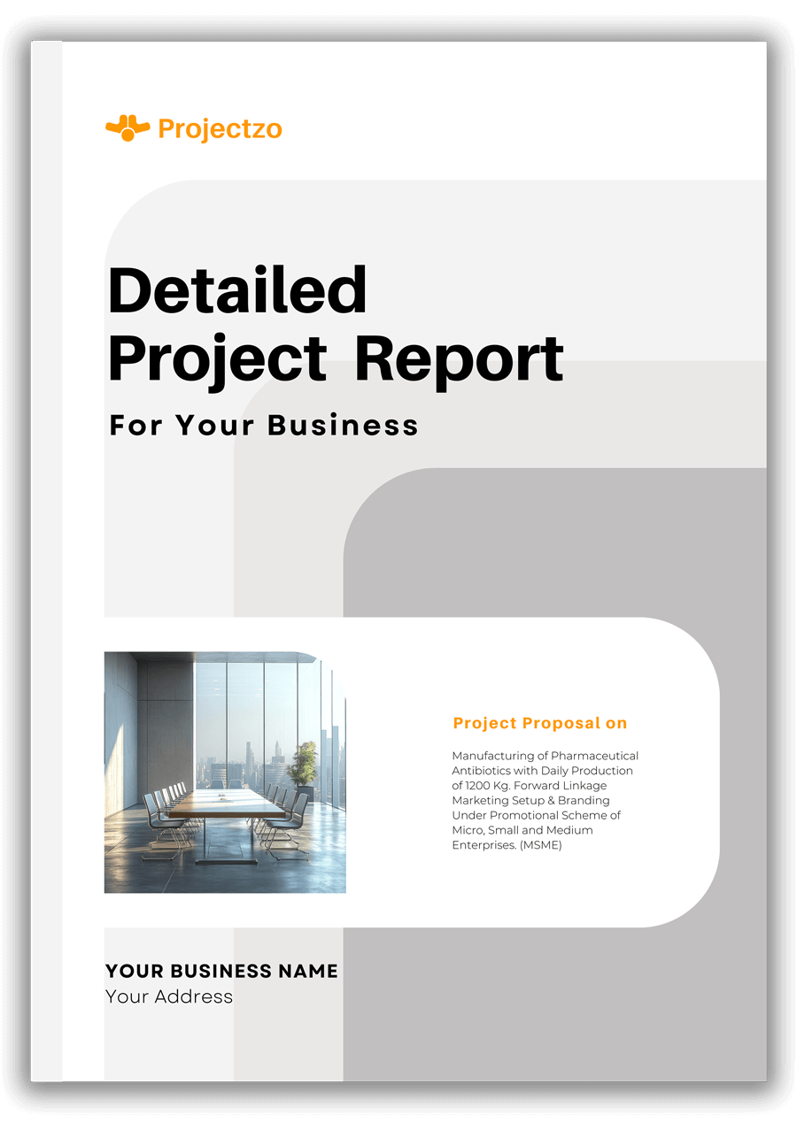 Best Detailed Project Report Maker