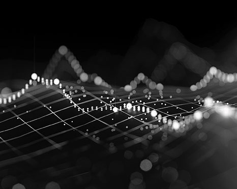 project report software in action